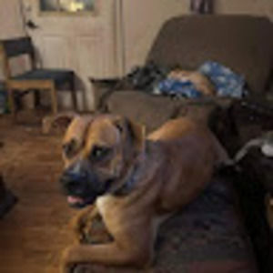 Meet your Posher, Angela